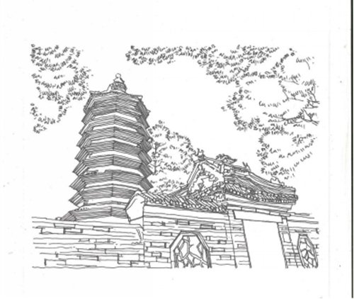 展览