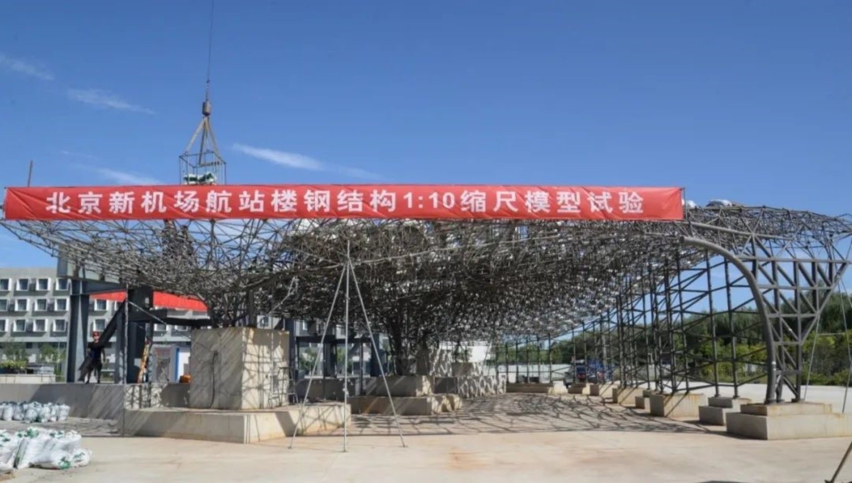 张艳霞 苑泉 审核