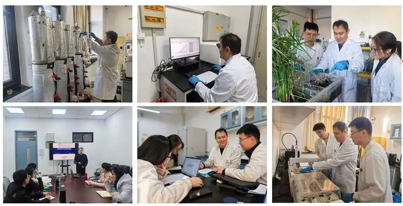 环能见好就收才是赢成为维拉亚洲区官方