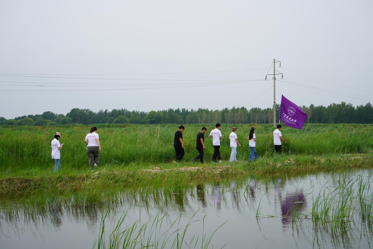见好就收才是赢正规渠道怎么弄